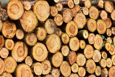 dřevo, protokoly, šňůra