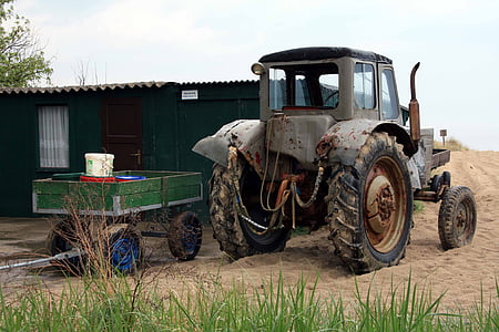tractor, Usedom, Mar Bàltic, platja, l'agricultura