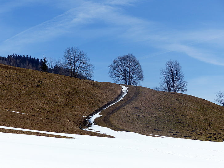 chemin alpin, printemps, reste de la neige, suite, dirt track, façon commerciale, Lane