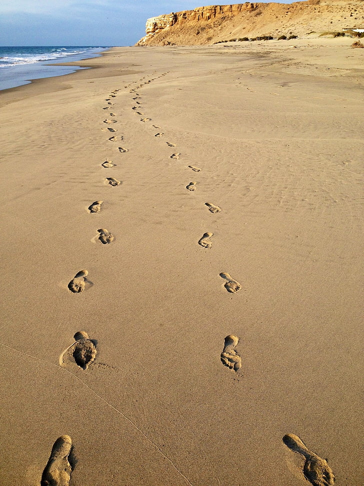 beach, couple, ocean, sand, footprint, paw print, no people