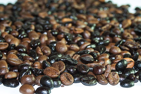 café, fève, café, grains de café, brun, alimentaire, arôme