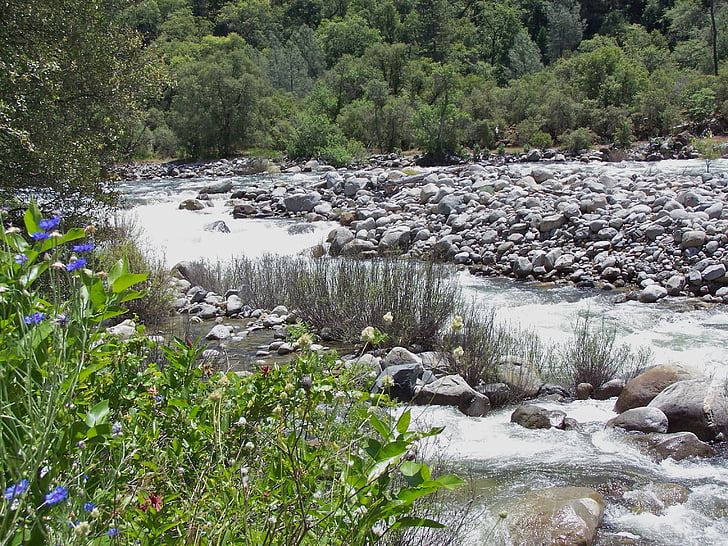 voda, řeka, datový proud, krajina, přírodní, Creek, Krása