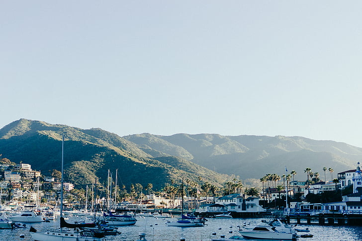 dokas, jachta, mėlyna, dangus, dienos, Catalina, sala