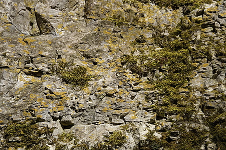 estrutura, pedra calcária, rocha, musgo, incrustação, abandonada, textura
