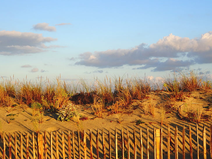 Dune, Beach, sand, Atlanterhavskysten, natur, sand dune, Sunset
