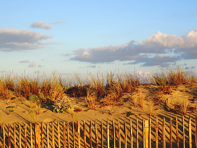 Dune, platja, sorra, costa atlàntica, natura, dunes de sorra, posta de sol