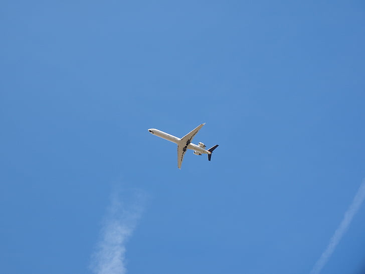 samolot, niebo, latać, niebieski, ulotki, hałasu samolotów, podróży