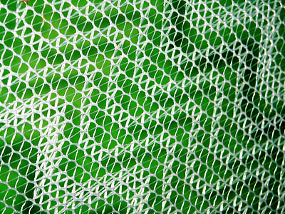 mosquito nets, white, wall, green