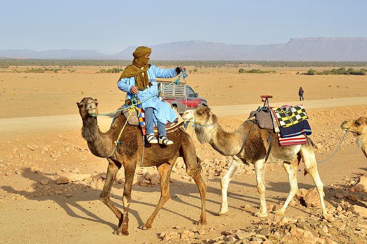 Sahara, wielbłądy, Pustynia, piasek, podróży, Afryka, Turystyka