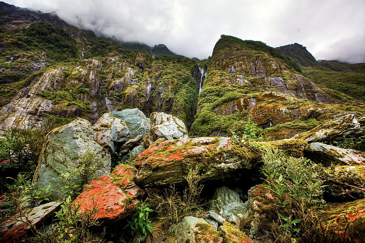τροπικό δάσος, Νέα Ζηλανδία, νότιο νησί, Καταρράκτης, βουνά, βρύο, urzeitlich