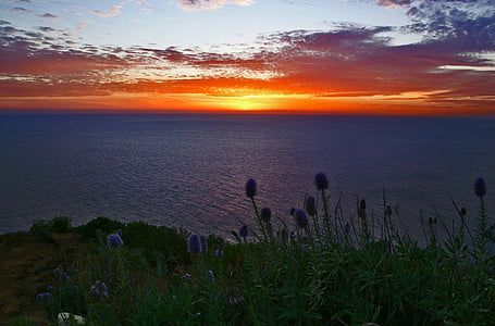 Madeira, naplemente, tenger, romantika, Portugália