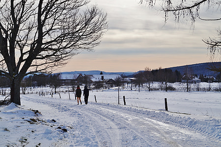 invierno, nieve, Ruta de acceso, carretera, cubierto de nieve, Frost, helado