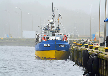 port, bateau de pêche, brouillard, tôt le matin, Fischer, Darlowo