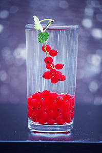 ríbezle, ovocie, zdravie, Berry, strapec hrozna, Záhrada, červená