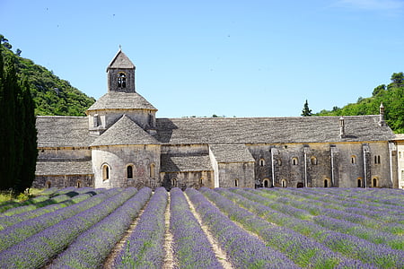 monastery, abbey, notre dame de sénanque, the order of cistercians, abbaye de sénanque, gordes, vaucluse
