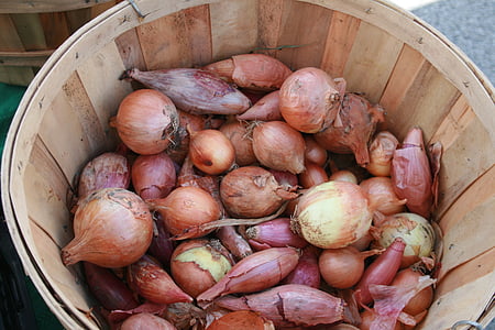 vegetables, farmer's market, basket, onions, ingredient, farmers market