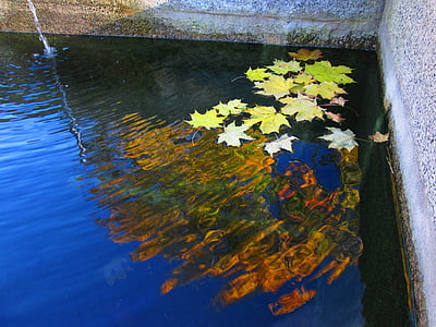 víz, szín, Dél-Csehország, elmélkedés, ősz