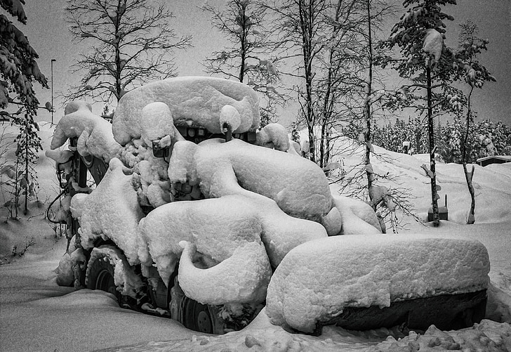 traktor, Vinter, snø, Lapland, treet, natur, svart-hvitt