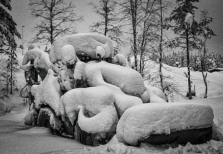 traktor, pozimi, sneg, Lapland, drevo, narave, črno-belo