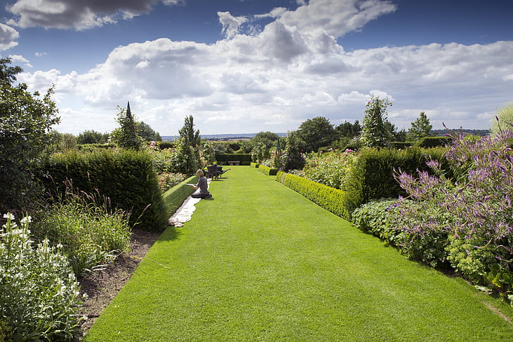 rhs hyde hall, garden, box topiary, gardener, lawn, blue sky, clouds