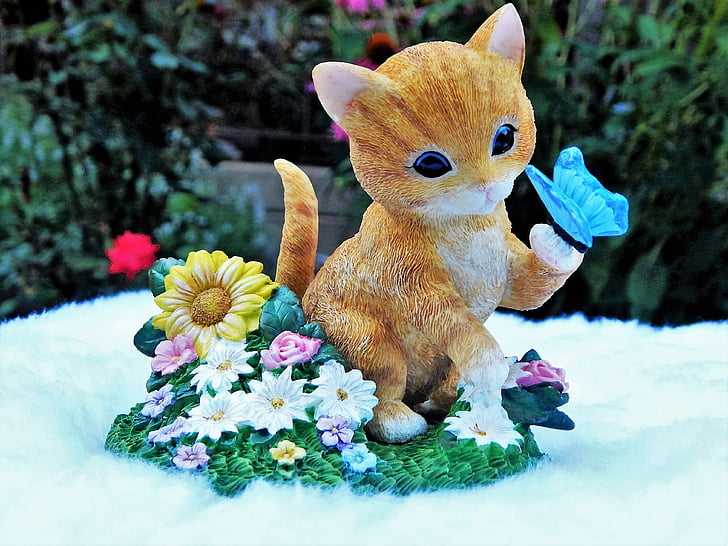 kattunge, Kitty, katt, fjäril, blomma, bedårande, glada