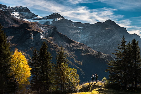 autumn, fall, firs, hiking, landscape, mountains, nature