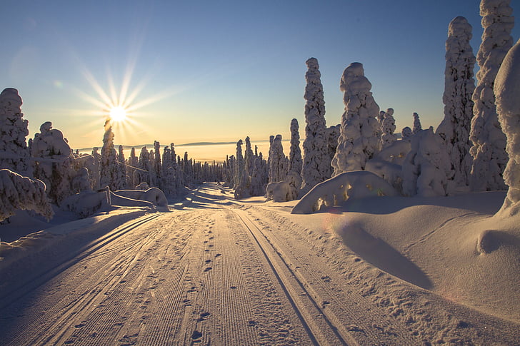 Somija, Lapzemes, ziemas, apvidus slēpošana, taka, ziemas, aukstas temperatūras