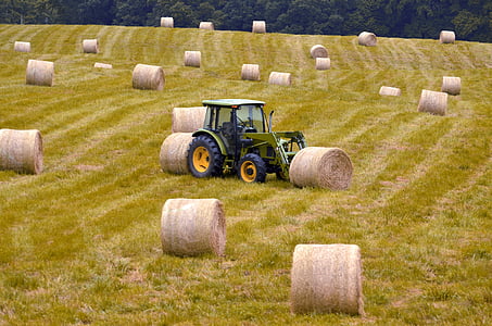 bales, hay, agriculture, nature, field, harvest, straw