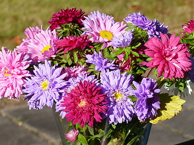 cvetje, Aster, barve, jeseni, šopek, vaza, Tabela