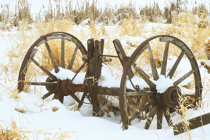 rotelle di vagone, rustico, oggetto d'antiquariato, in legno, legno, vintage, rurale
