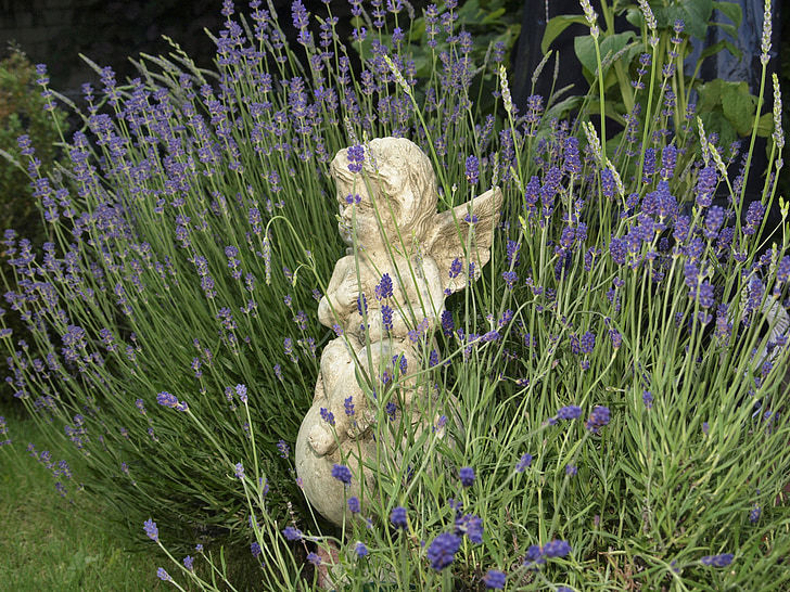 cherub, deco, statue, vintage, live, garden, romantic
