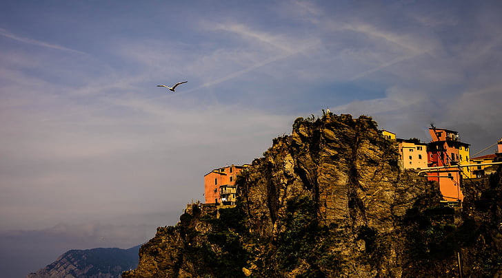 Cinque terre, Włochy, Natura, Wybrzeże Amalfi, linia brzegowa, Architektura, budynki