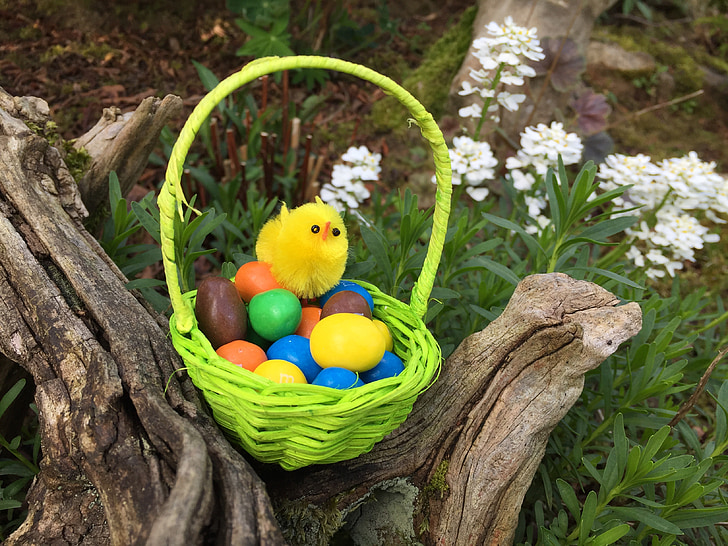 passover, nature, basket, œuf, chick, flowers, spring