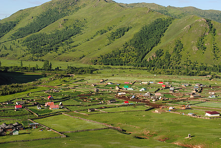 Mongolia, hijau, rumput, pemandangan, Asia, di luar rumah, cerah