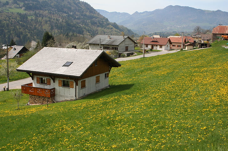 Chalet, Berg, Landschaft