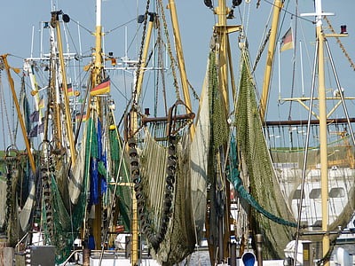 vaixell, bota, Fischer, Portuària, xarxes de pesca, tallador, nord d'Alemanya