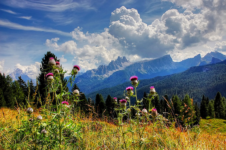 Croda da lago, Dolomity, Belluno, modrá, obloha, léto, Příroda