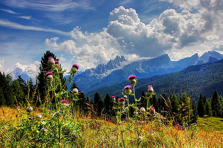 croda da lago, Dolomitok, Belluno, kék, Sky, nyári, természet