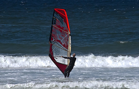 surfistas de viento, persona que practica surf, hombre, deporte, vela, tablero, de surf