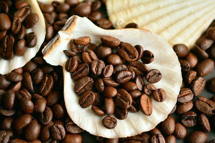 coffee beans, coffee, beans, caffeine, aroma, roasted, mussels