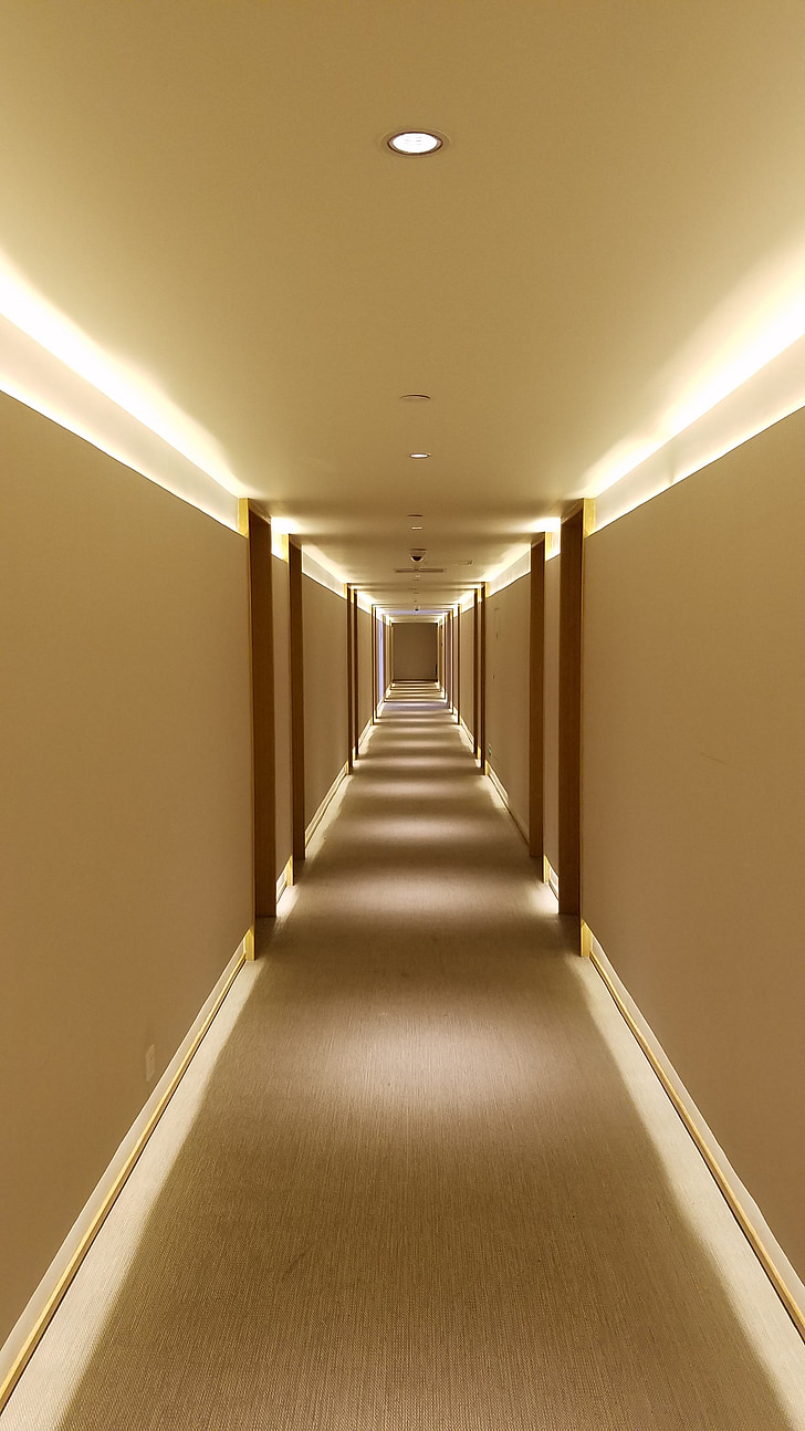 Hotel, corridor, tapijt, leeg
