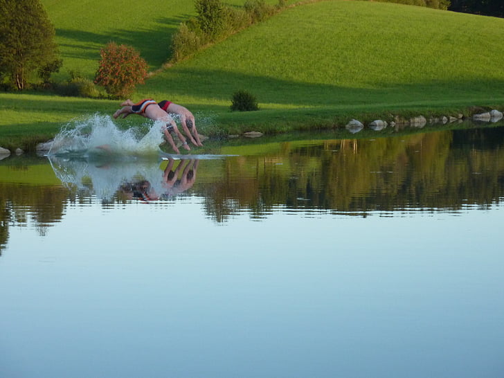 plunge, water, pond, jump, reflection, lake, one animal