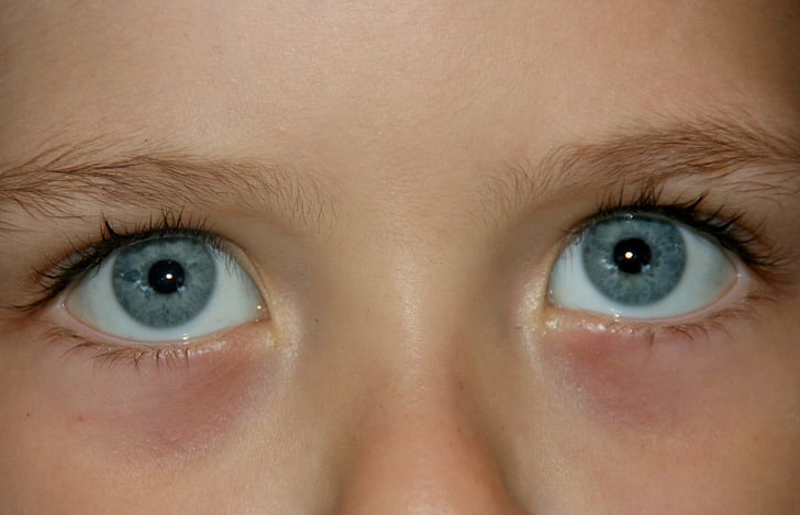 oko, modrá, gén