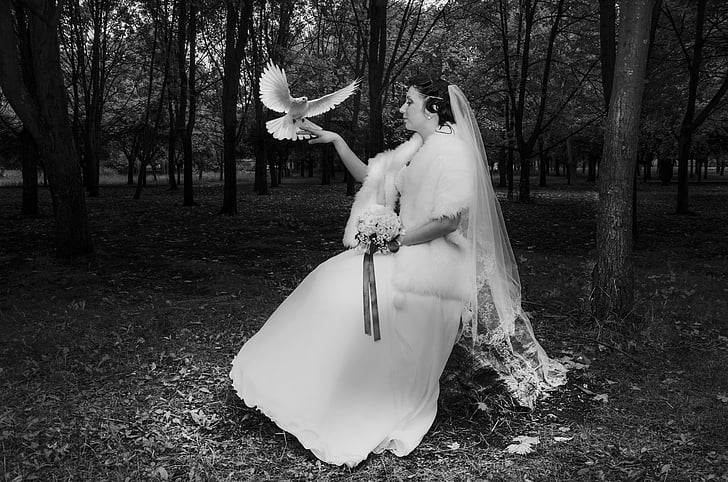 булката, брак, сватба, се ожени, ср, сватбена рокля, гълъб