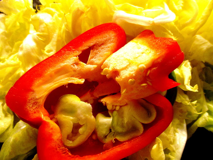 paprika, rød, grøntsager, salat, kerner, endivie gul