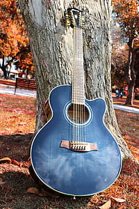 podzim, na podzim, kytara, parku, strunný nástroj, strom, dřevěný