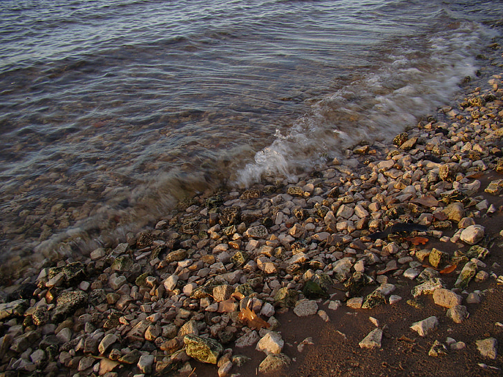 Beach, floden, sten, bølge, blade, vand, sand