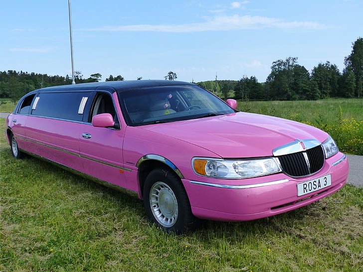 limo, car, pink, sky, grass, exhibition, summer
