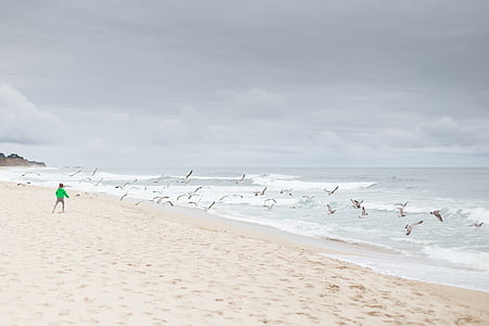 사람, 그린, 스웨터, 서 있는, 해변, 주간, 바다