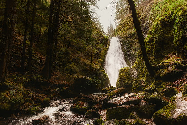 Oregon, landschap, waterval, Falls, Stream, Creek, rotsen